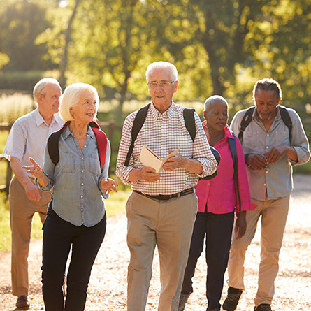  Promenade découverte  